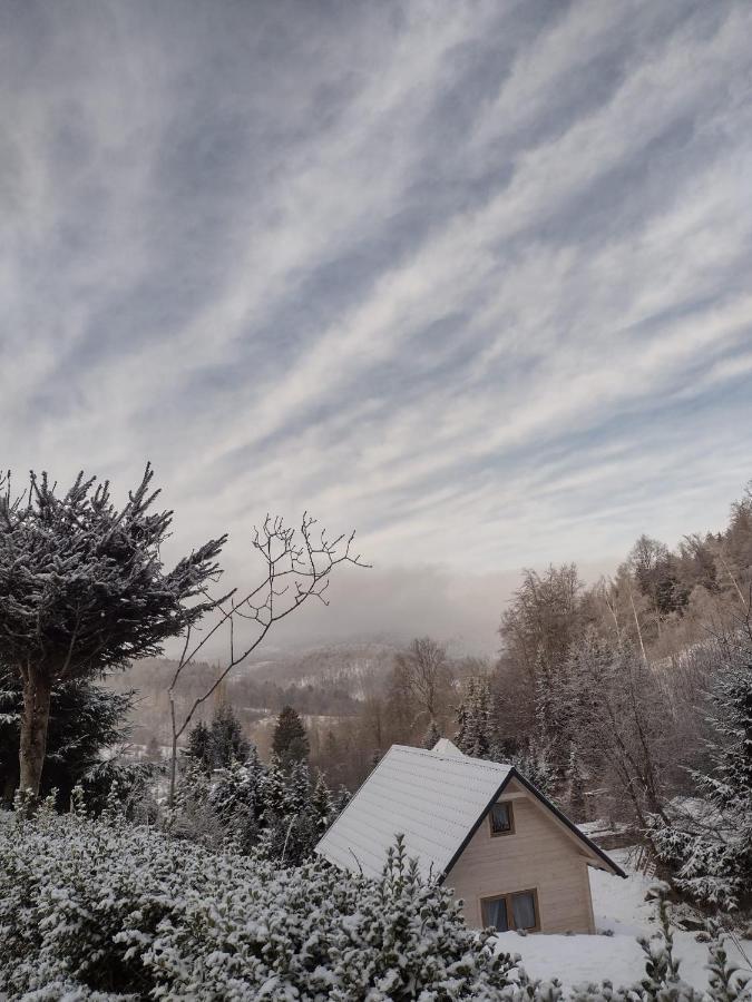 Domek Na Lesnym Wzgorzu Pieszyce ภายนอก รูปภาพ