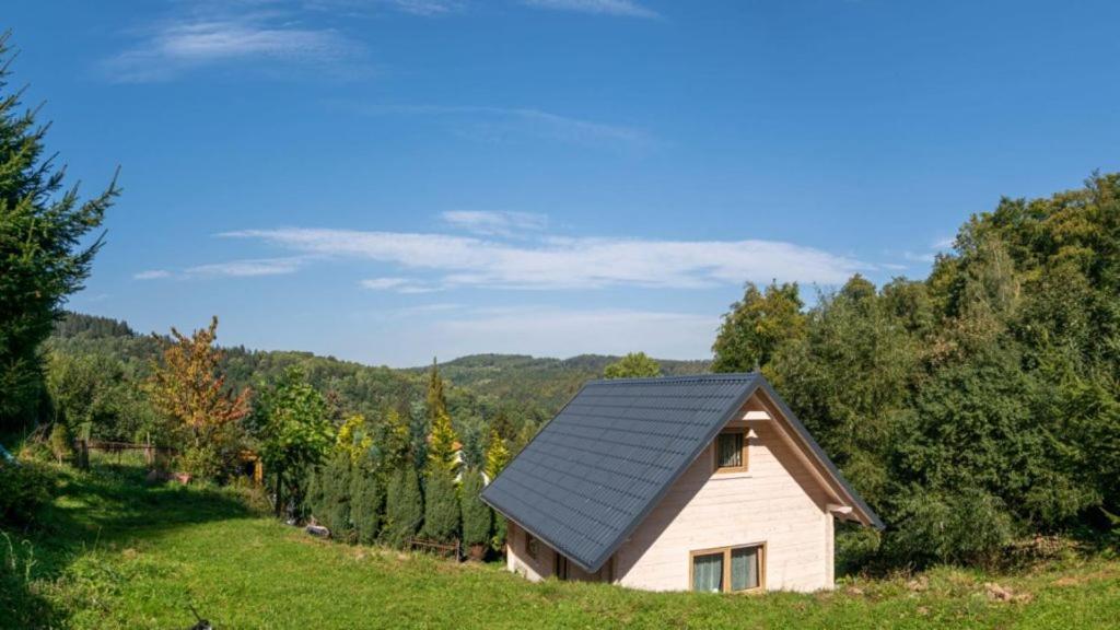 Domek Na Lesnym Wzgorzu Pieszyce ภายนอก รูปภาพ